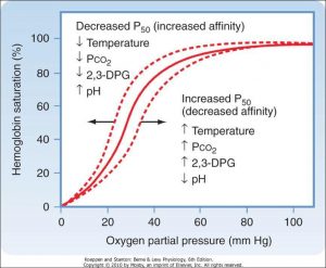 اختلاف فشار اکسيژن آلوئوالر و شرياني 